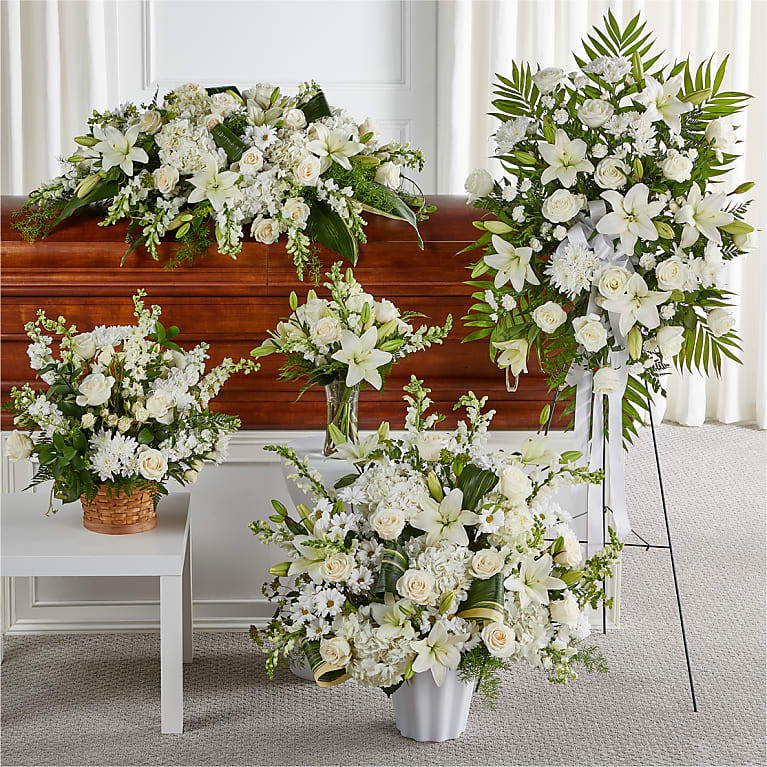 Sympathy Collection