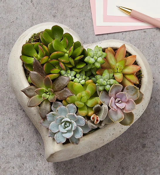 Heart-shaped concrete planter with succulents on a gray surface