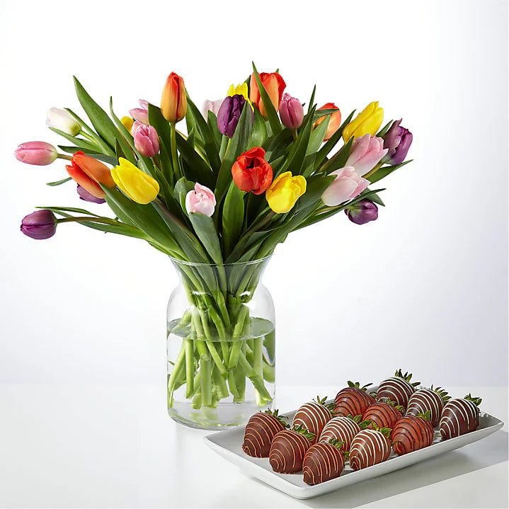 Multi colored fresh tulip bouquet with a gift of chocolate covered assorted strawberries