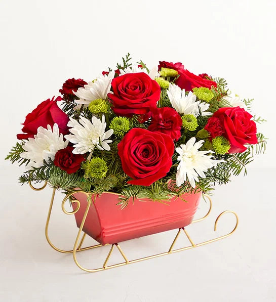 Dashing through the Snow Sleigh