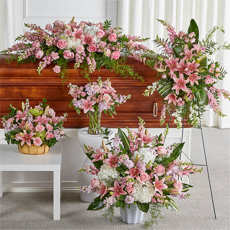 Sympathy Collection