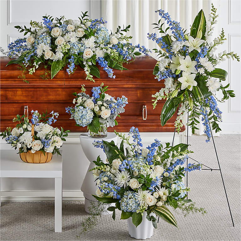 Sympathy Collection