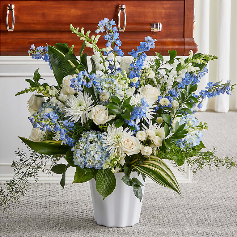 Sympathy Collection