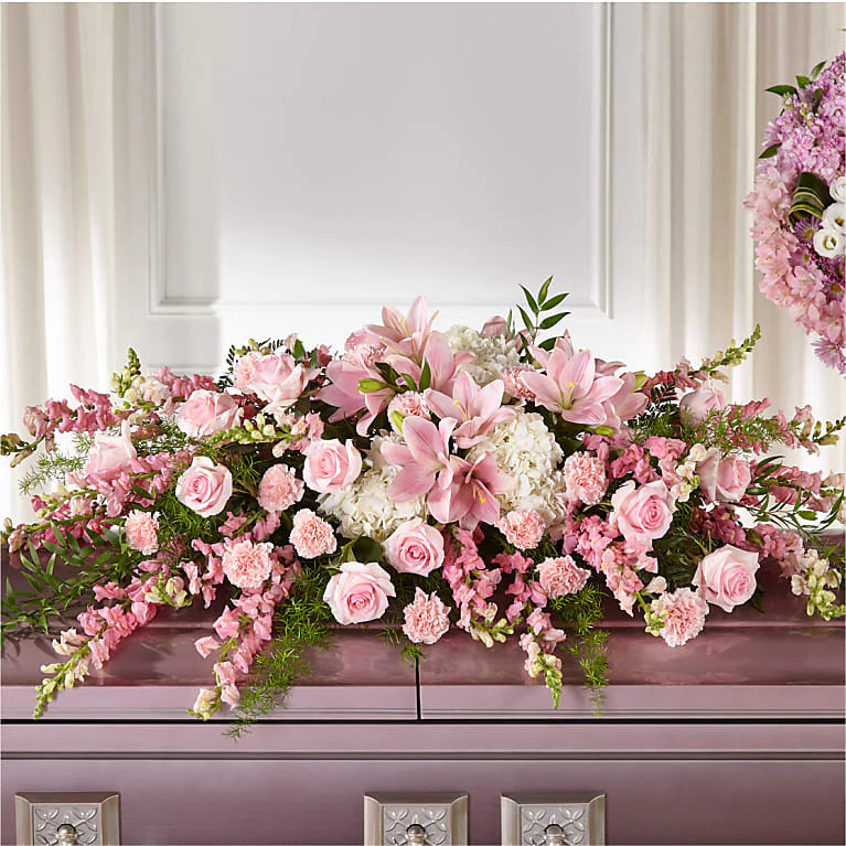 Sympathy Collection