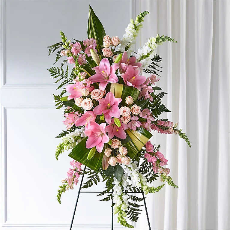 Sympathy Collection