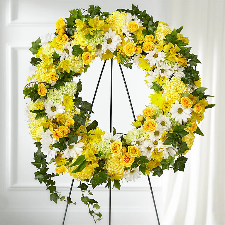 Sympathy Collection