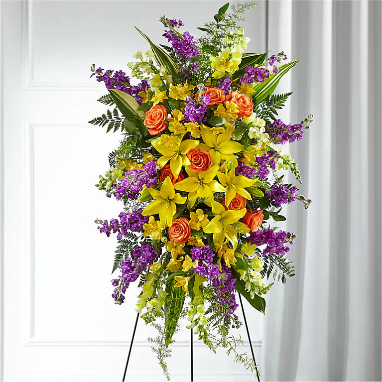 Sympathy Collection